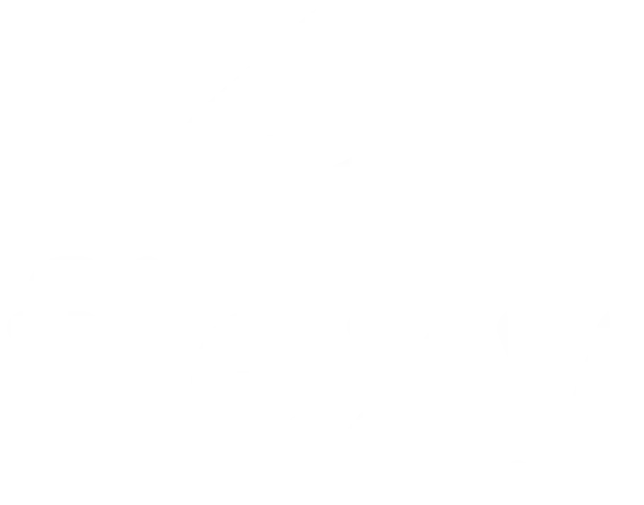 logo de Flexy